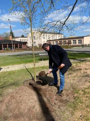 Dzień Ziemi  - prezydent Krzysztof Jażdżyk sadzi drzewko