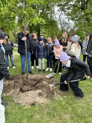 Grupa dzieci wraz z kobietą w czarnej kurtce i mężczyzną w granatowym ubraniu sadzi drzewo.