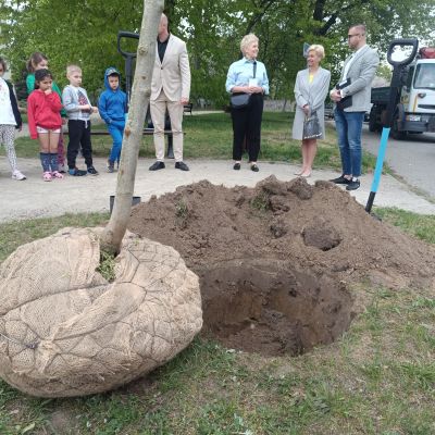 Dzień Ziemi, Zakład Utrzymania Miasta przygotował miejsce na sadzenie drzew