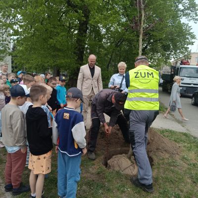 Dzień Ziemi, Zakład Utrzymania Miasta rozpoczyna sadzenie drzewa