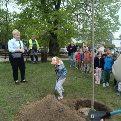 Dzień Ziemi, dzieci z przedszkola zasypują drzewo ziemią